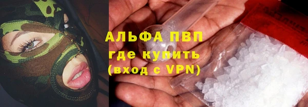 стафф Вязьма