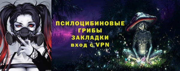гидропоника Алзамай