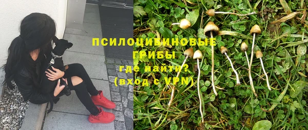 герыч Вяземский